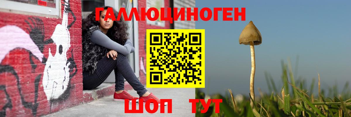 Галлюциногенные грибы ЛСД Кострома
